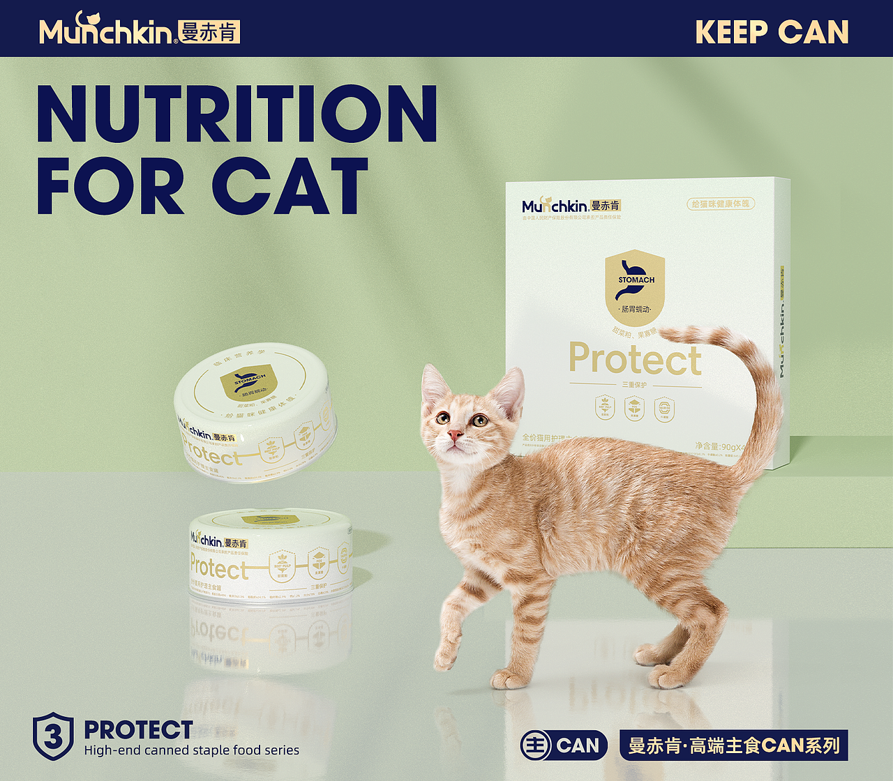 宠物食品 主食罐 处方罐 罐头 猫罐头 狗罐头