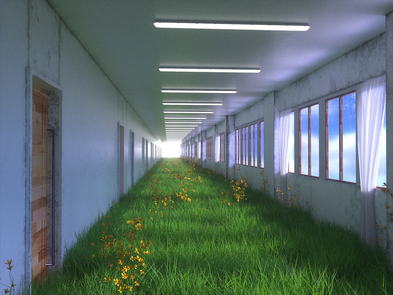 2022动态+静帧合集