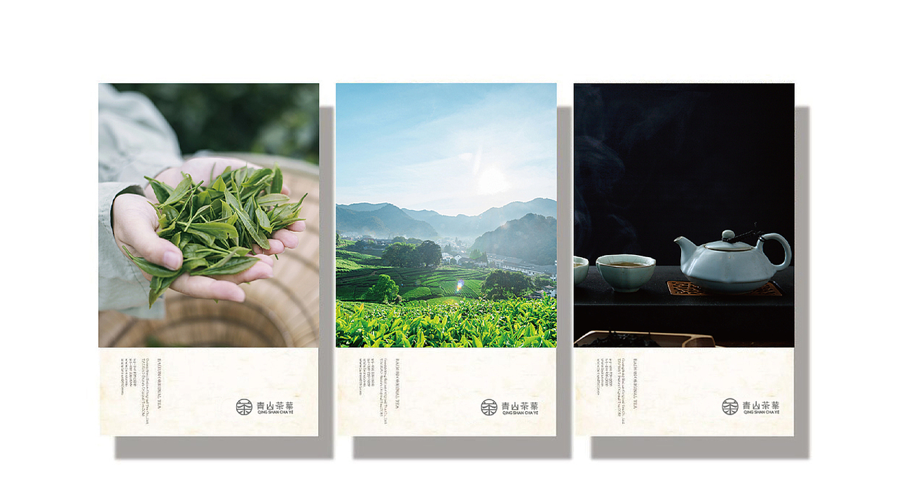 青山茶叶品牌设计