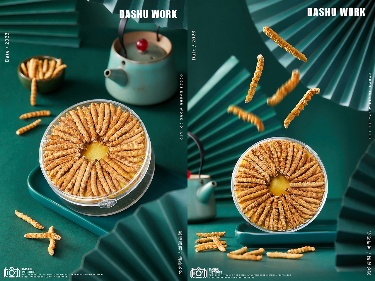 冬虫夏草|补品|中药|药材（图ZMzMxNzMyNTI4） - 美食摄影 - 站酷设计师大樹原创素材 - 站酷ZCOOL