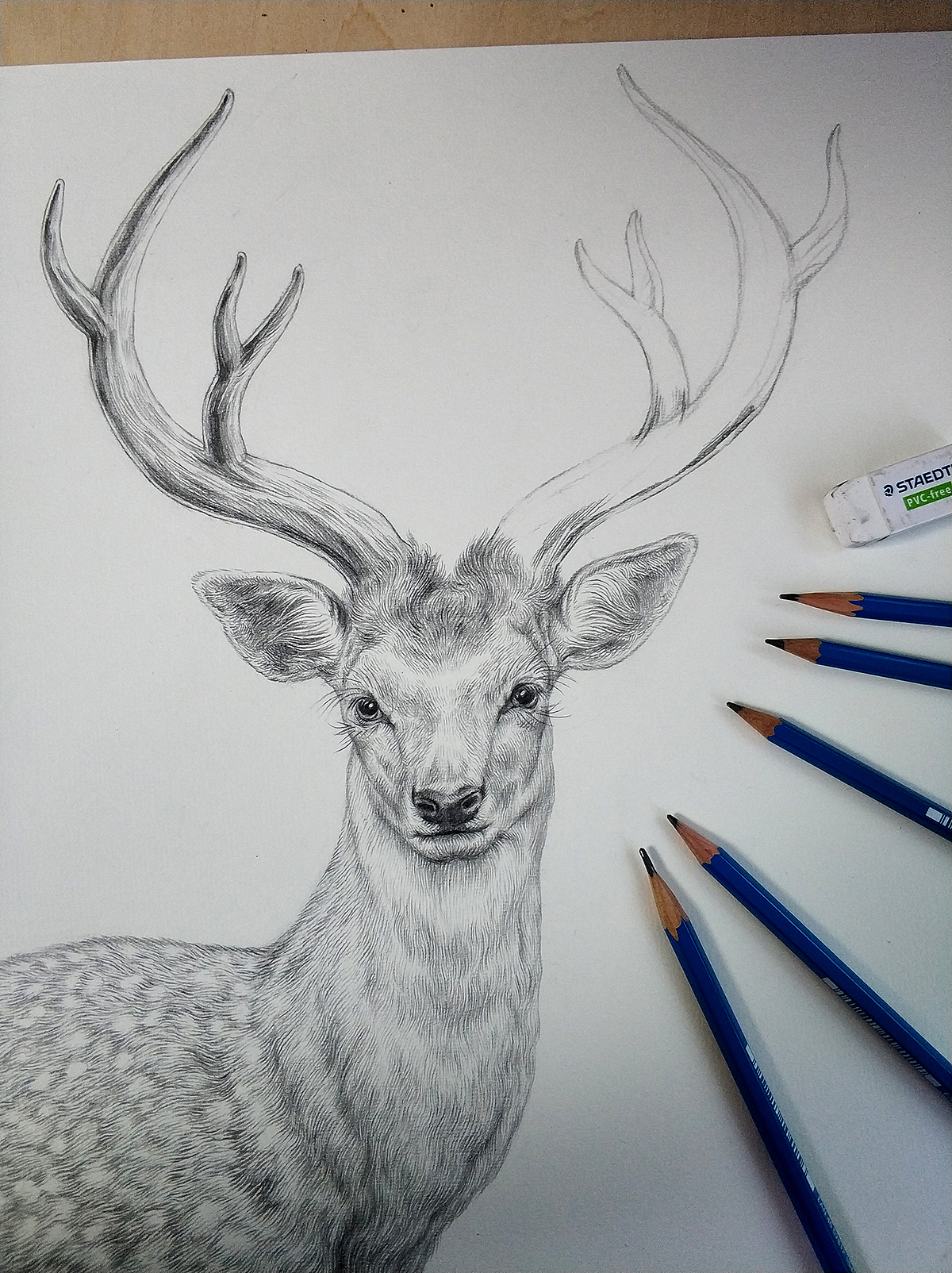 为“宫廷文化”绘制的素描过程