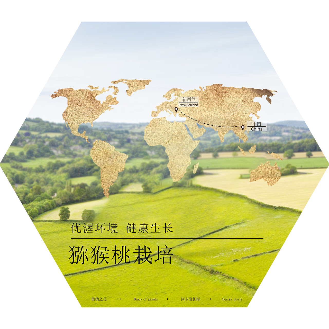 海报（图ZMzQ0NDU3MjI0） - Logo - 站酷设计师888xiao00原创素材 - 站酷ZCOOL