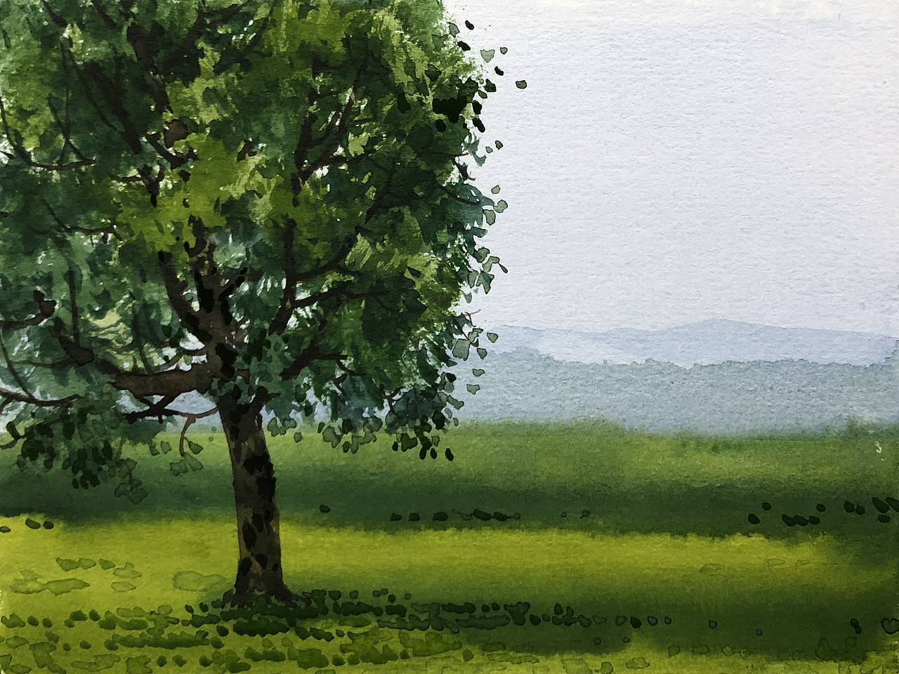 水彩风景——夏树生非花(2022 夏日里的树先生们)_孙小良的水彩画