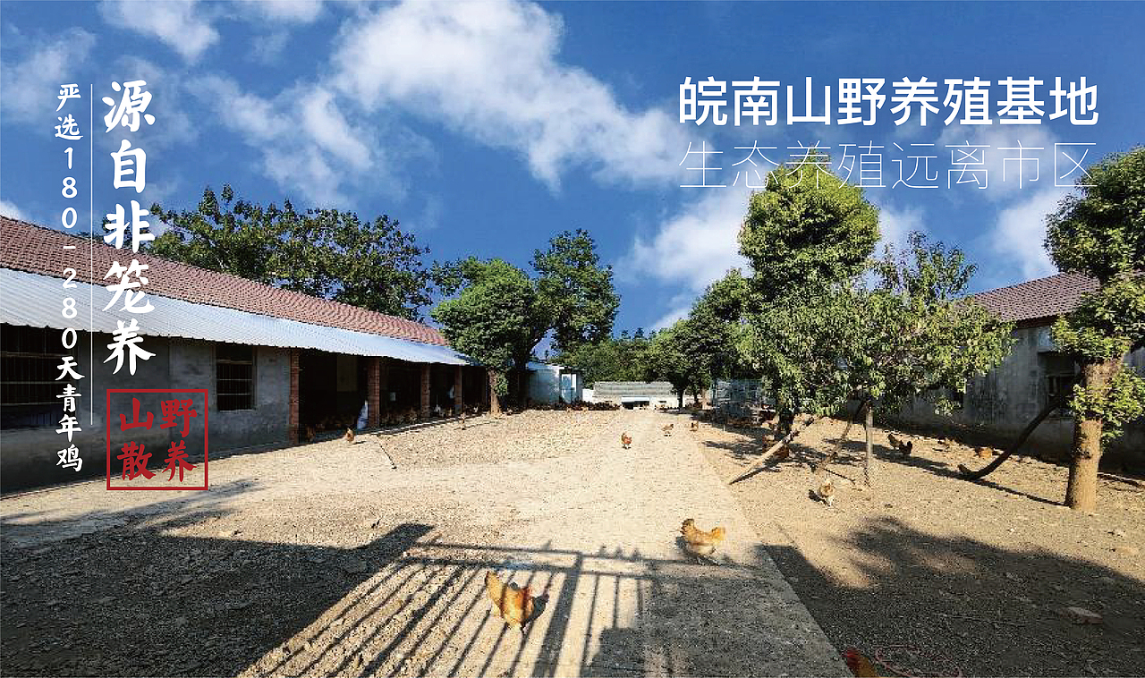 蓝野时光土鸡蛋包装设计