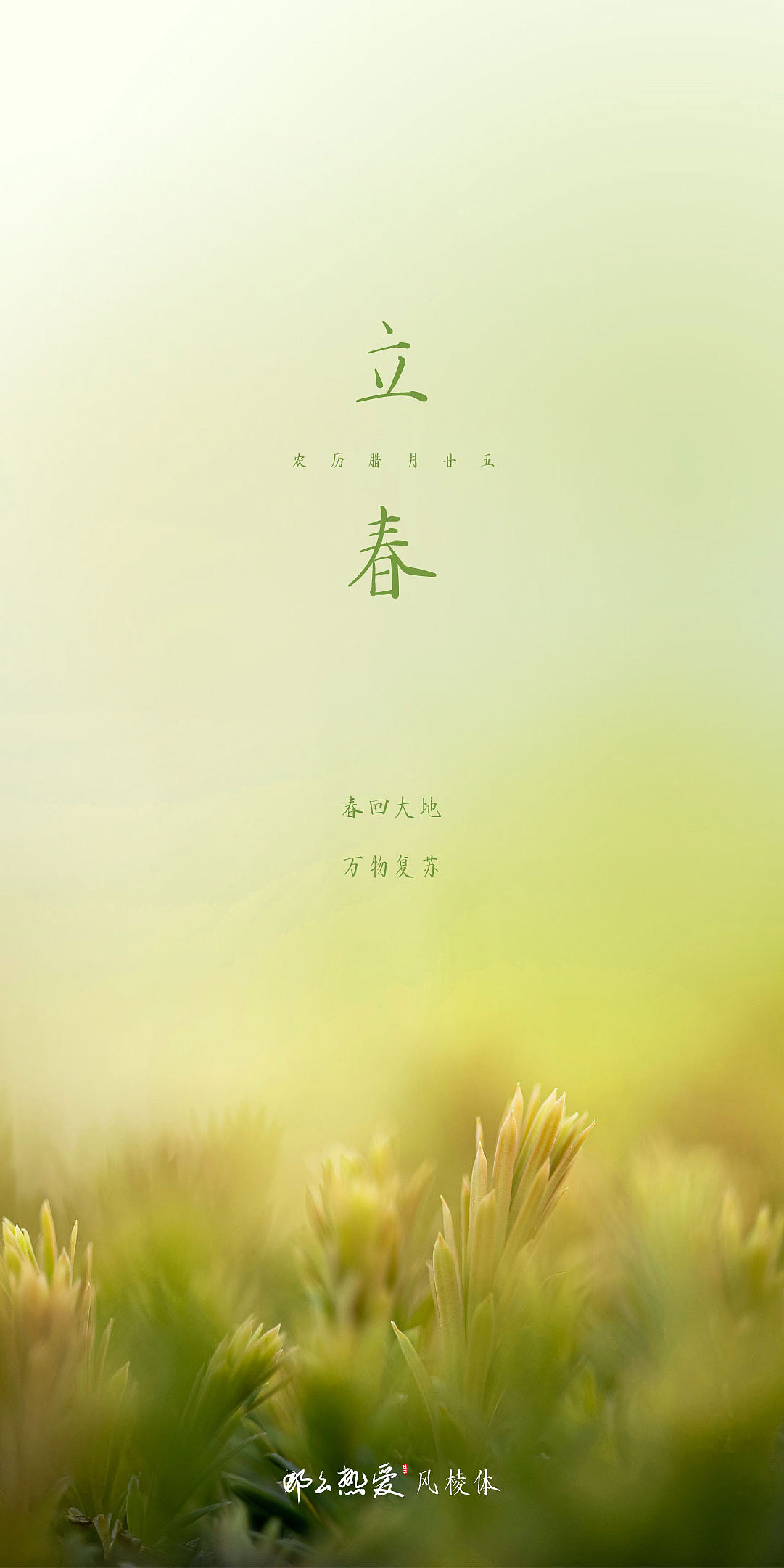 春回大地 万物复苏（图ZMzYxNDQ4ODIw） - 海报 - 站酷设计师那么热爱造字原创素材 - 站酷ZCOOL