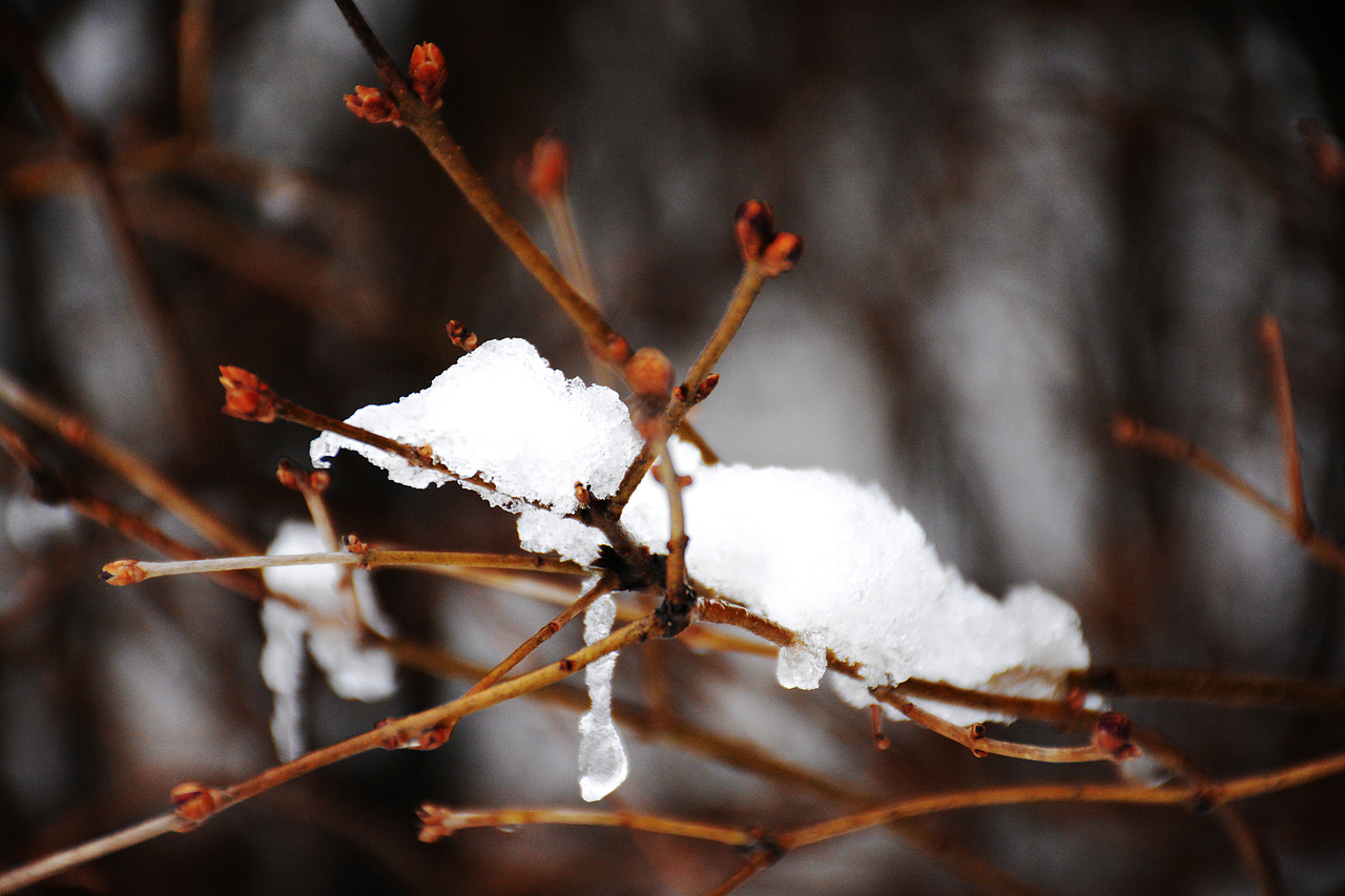 个人摄影作品集