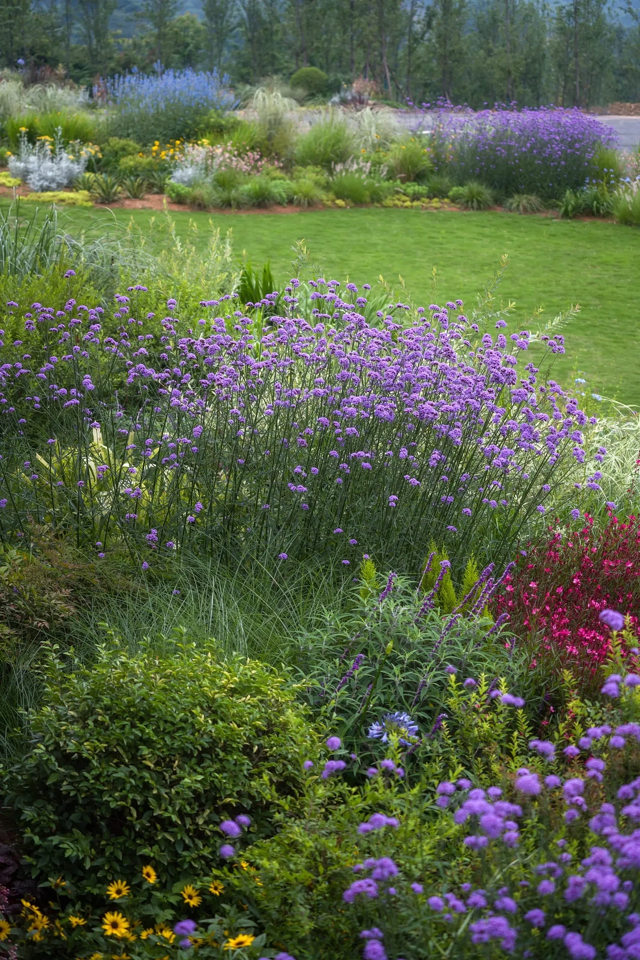 【案例分享】峨眉·高桥小镇