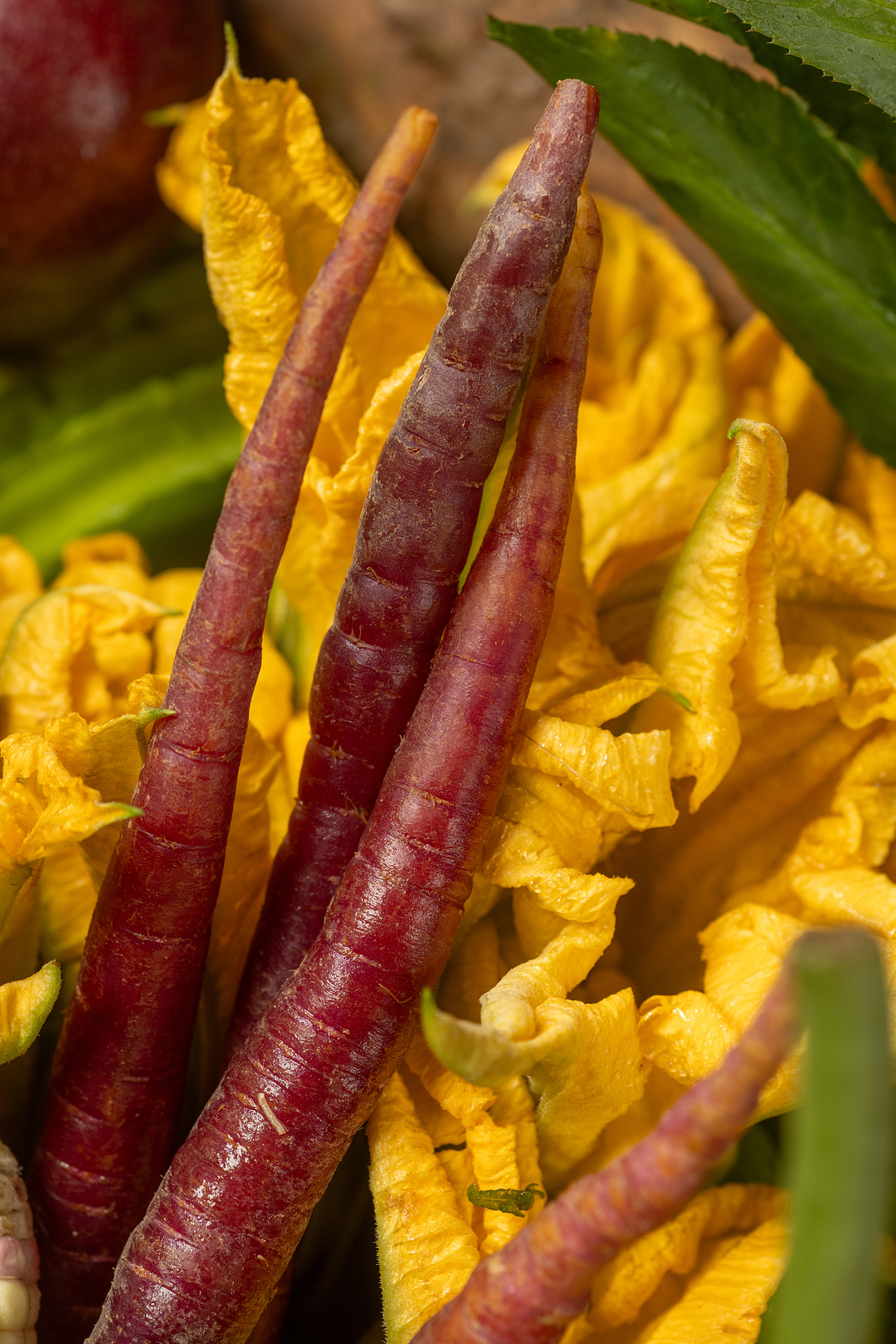 云南特色菜 菜品拍摄 美食拍摄 滇菜（图ZMzU2OTIzODQ0） - 产品摄影 - 站酷设计师Sunny潮叫兽原创素材 - 站酷ZCOOL