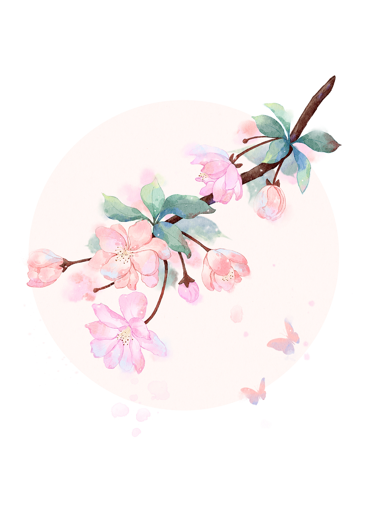 2023年里的小原创