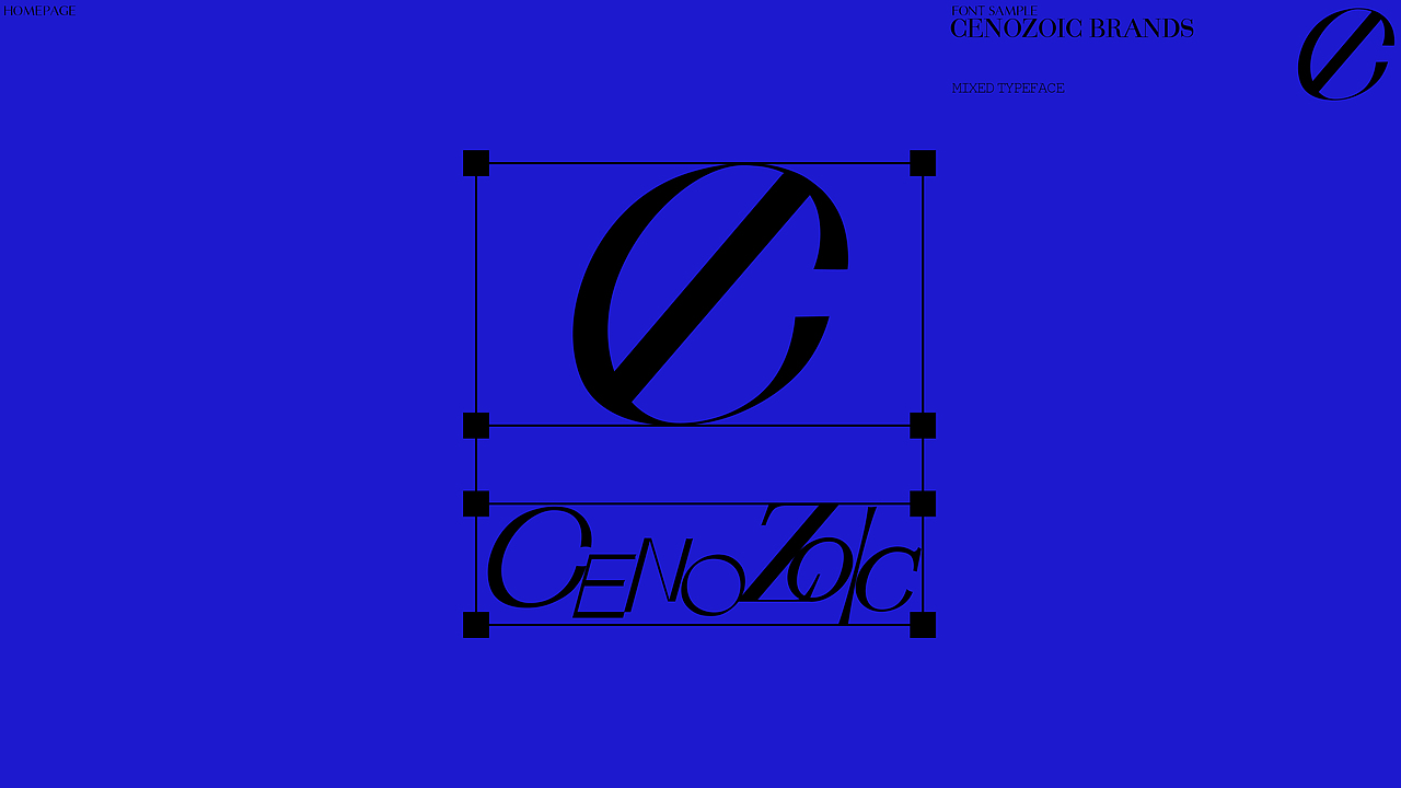 Cenozoic Brands Typography（图ZMzI5OTI5NTEy） - 品牌 - 站酷设计师YujianHuang原创素材 - 站酷ZCOOL