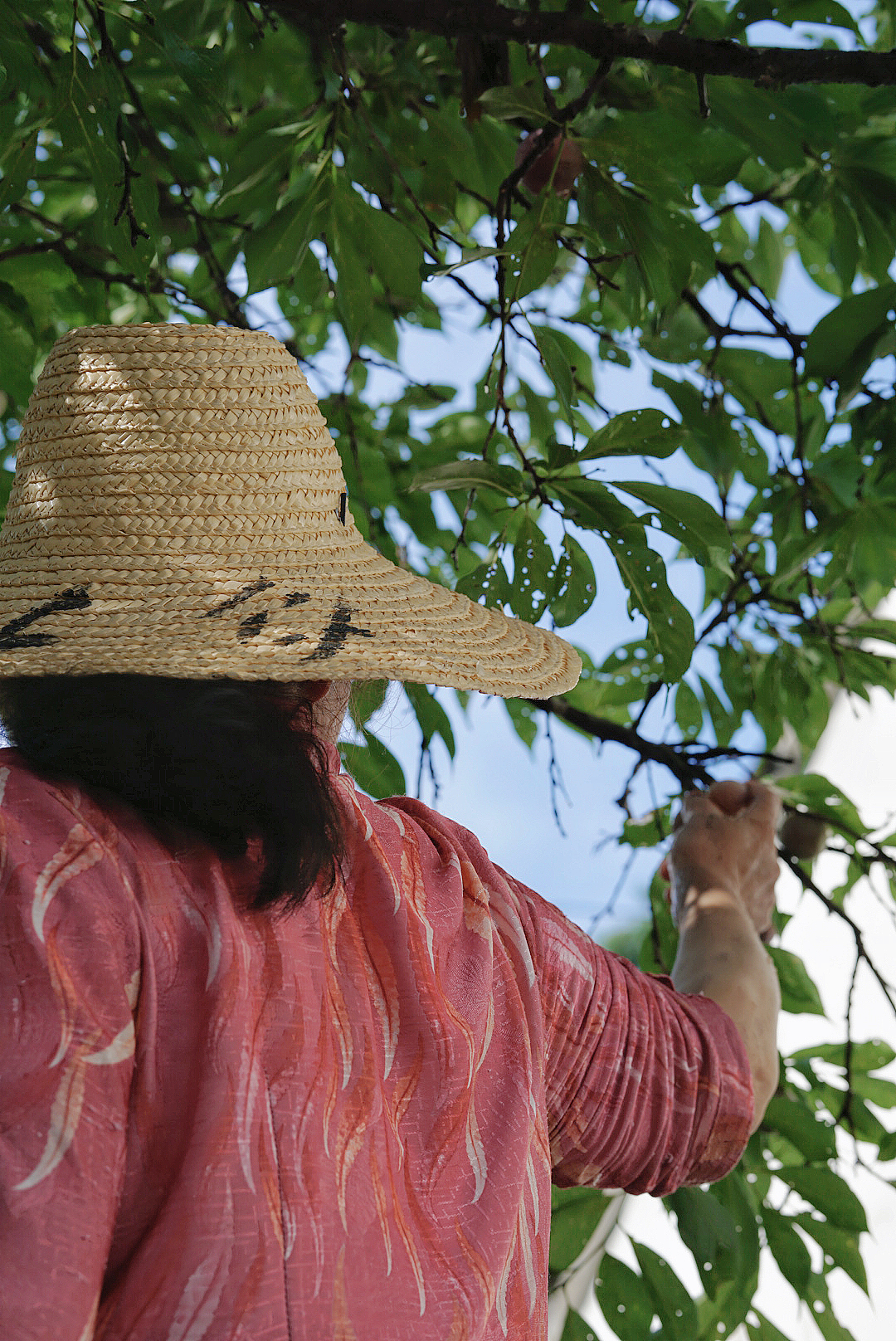 关于夏天的味道（图ZMzA3MTM4MDM2） - 其他摄影 - 站酷设计师日光山野原创素材 - 站酷ZCOOL