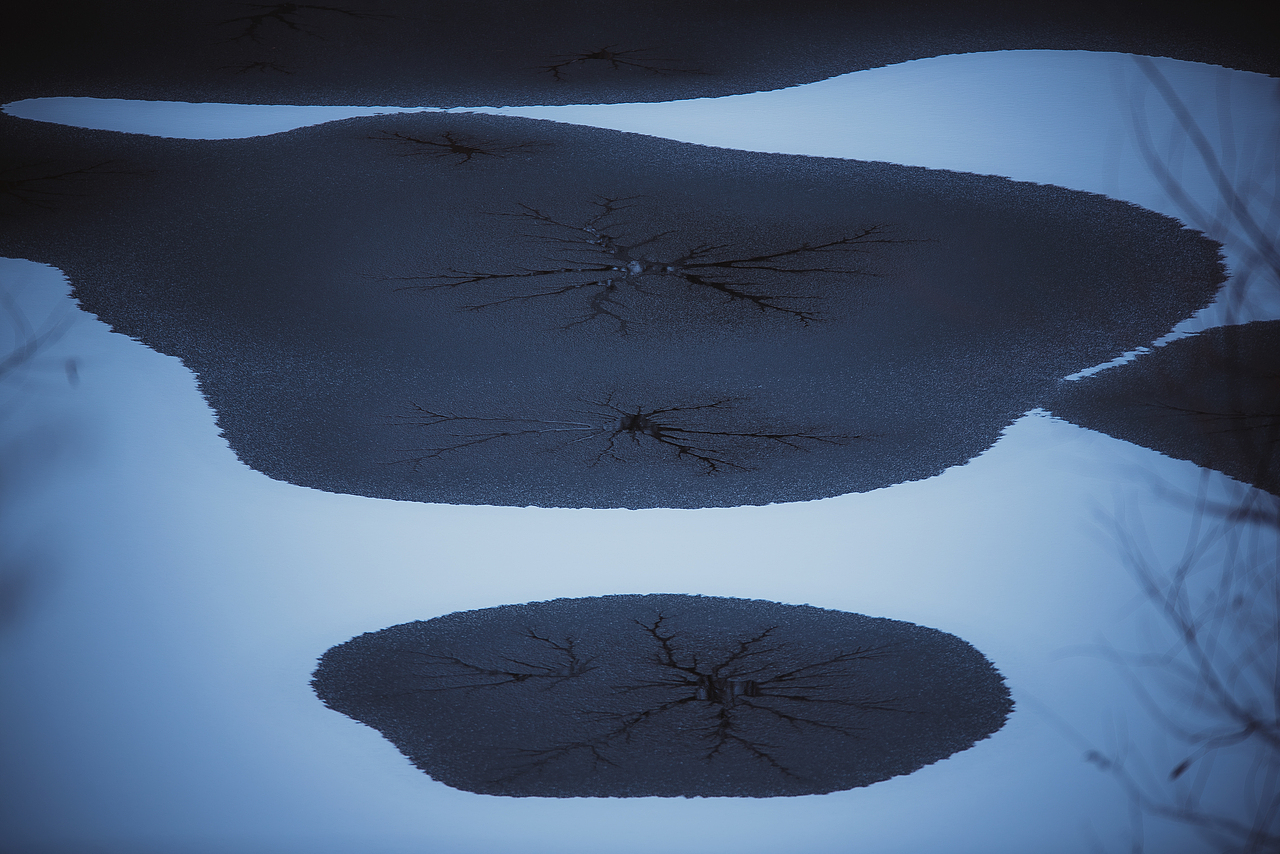 冬季里的色彩与玄学