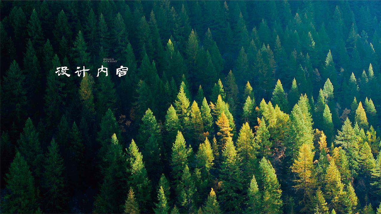 梁平寿海景区规划设计