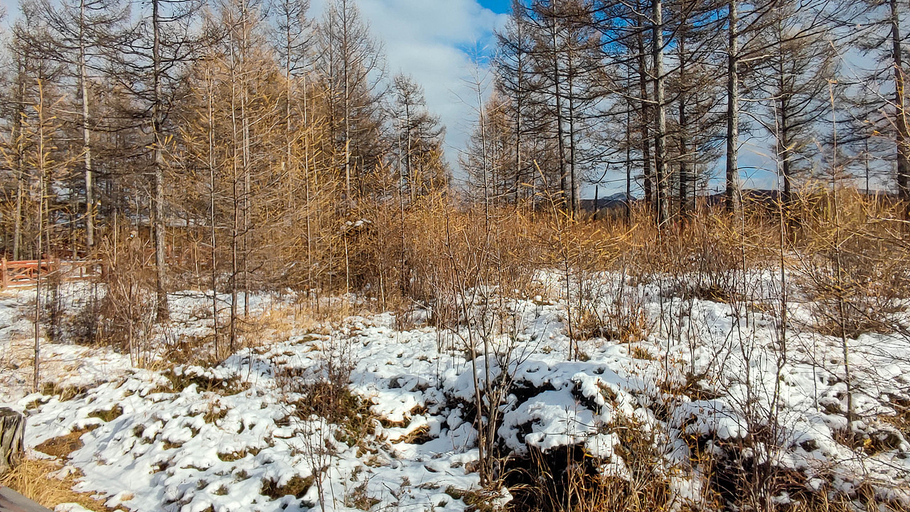 阿星和77仔 去内蒙吧!(风光篇-1)