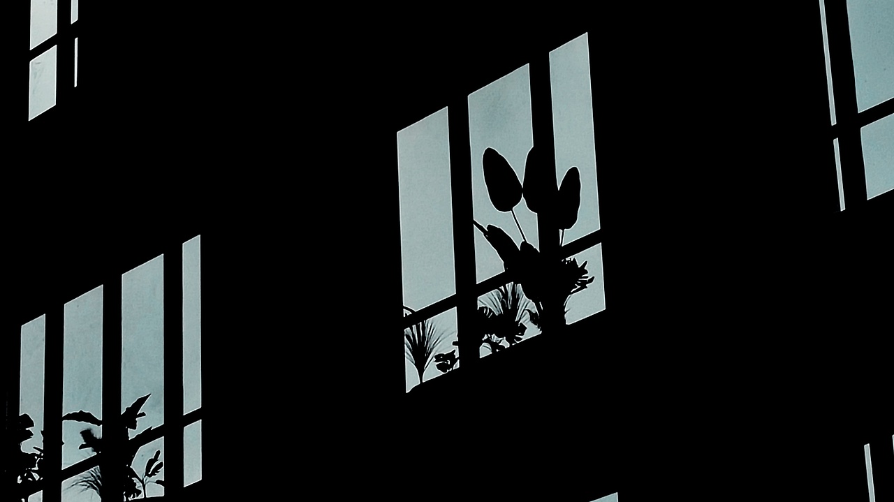 2022：医院的窗——期待光明（图ZMzI0MzQ2NTQ4） - 风光摄影 - 站酷设计师IP鲸选站原创素材 - 站酷ZCOOL