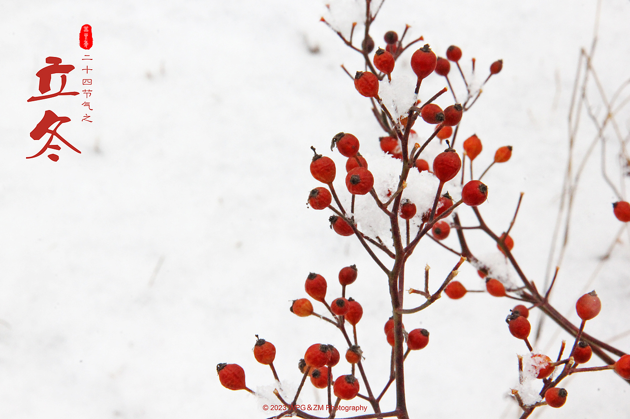 《 立冬 》