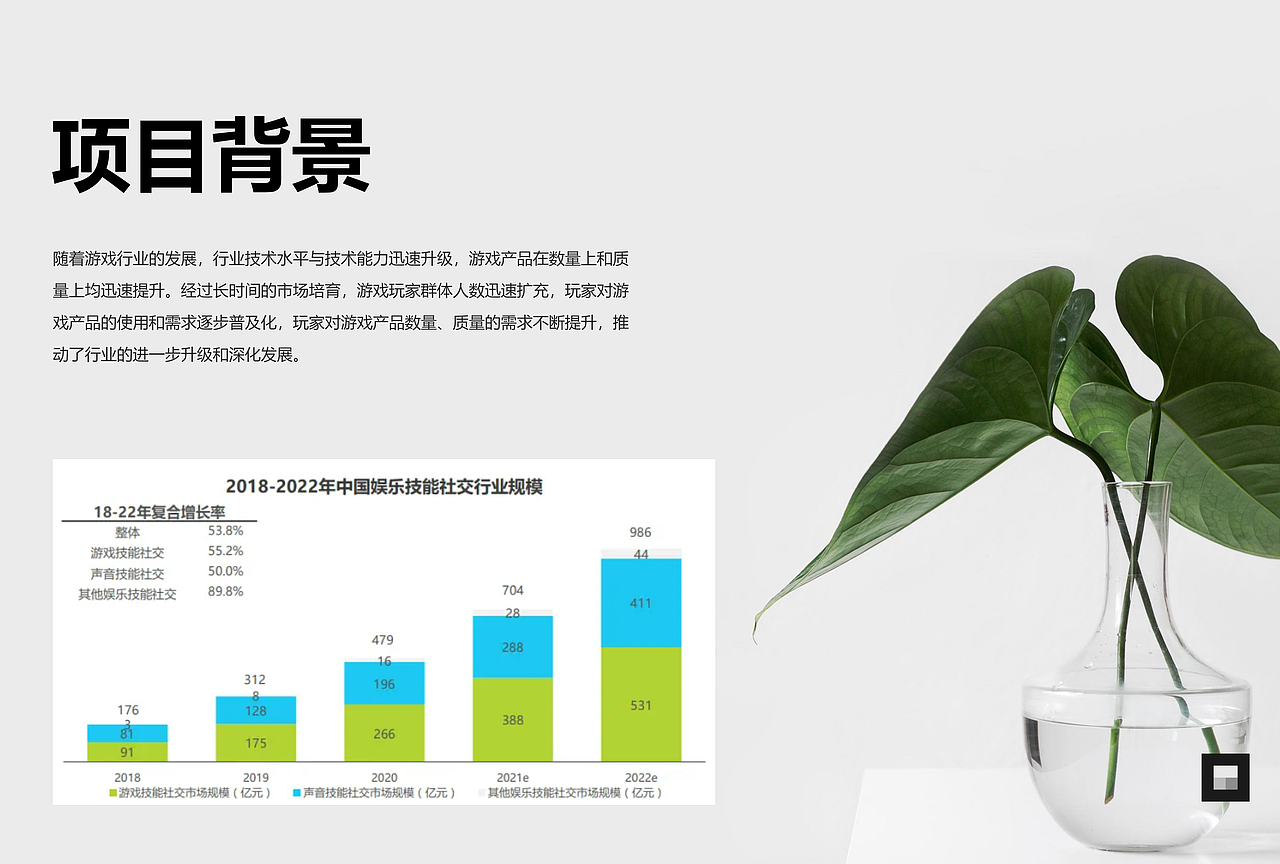 TT语音竞品分析文档