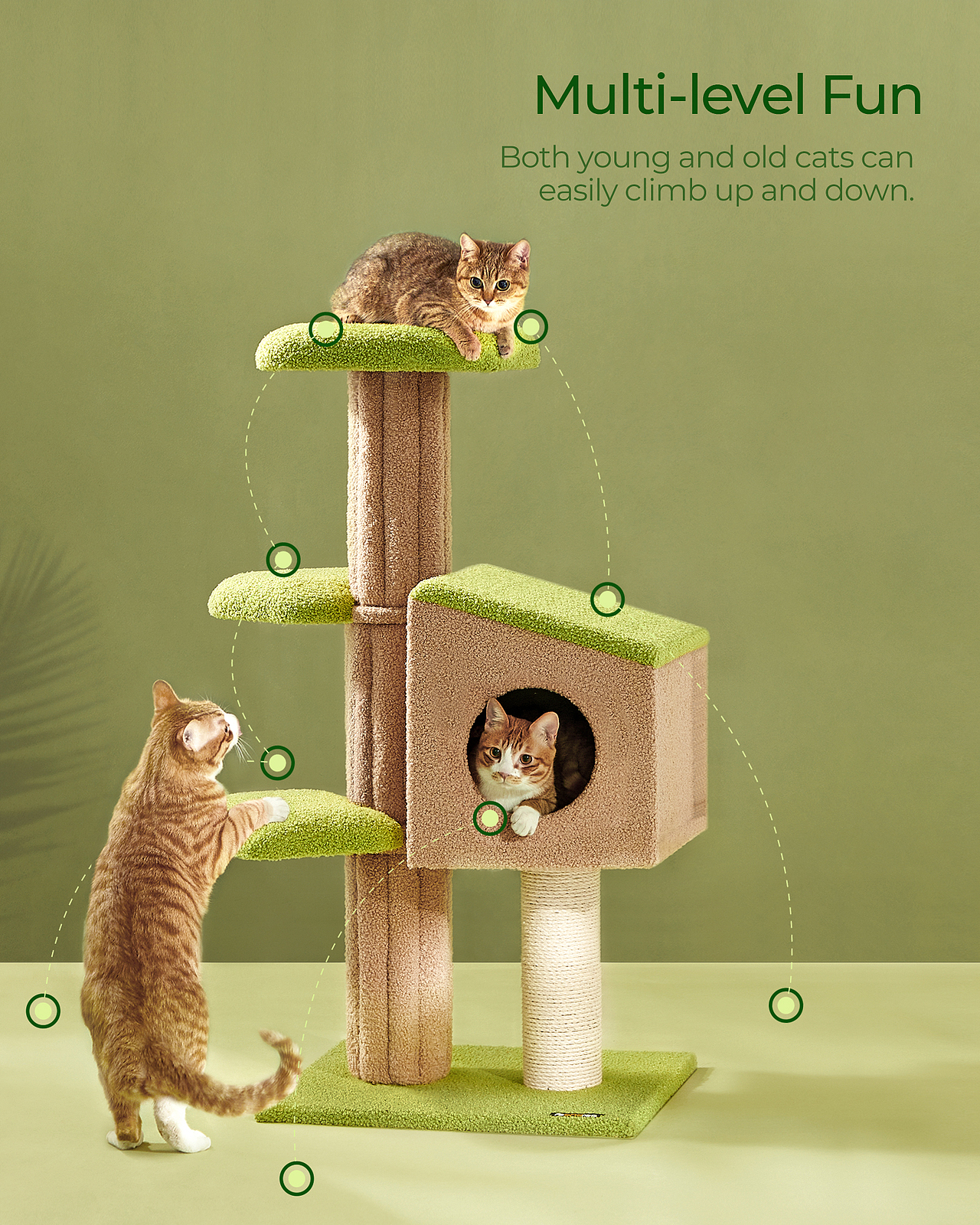 FEANDREA宠物类产品视觉表现（图ZMzA1ODU2MzI4） - 产品摄影 - 站酷设计师致欧设计原创素材 - 站酷ZCOOL