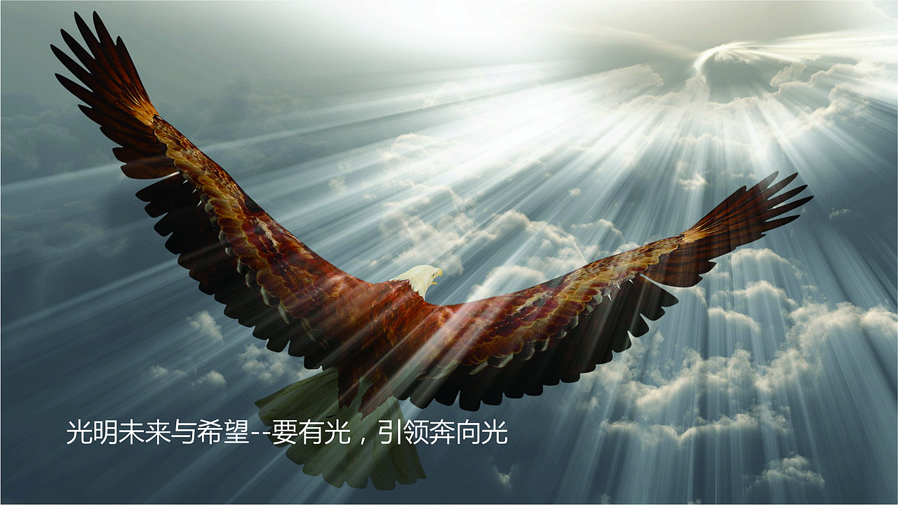 logo 设计提案（图ZMzYxMjYxNzIw） - Logo - 站酷设计师星雨亮满天原创素材 - 站酷ZCOOL