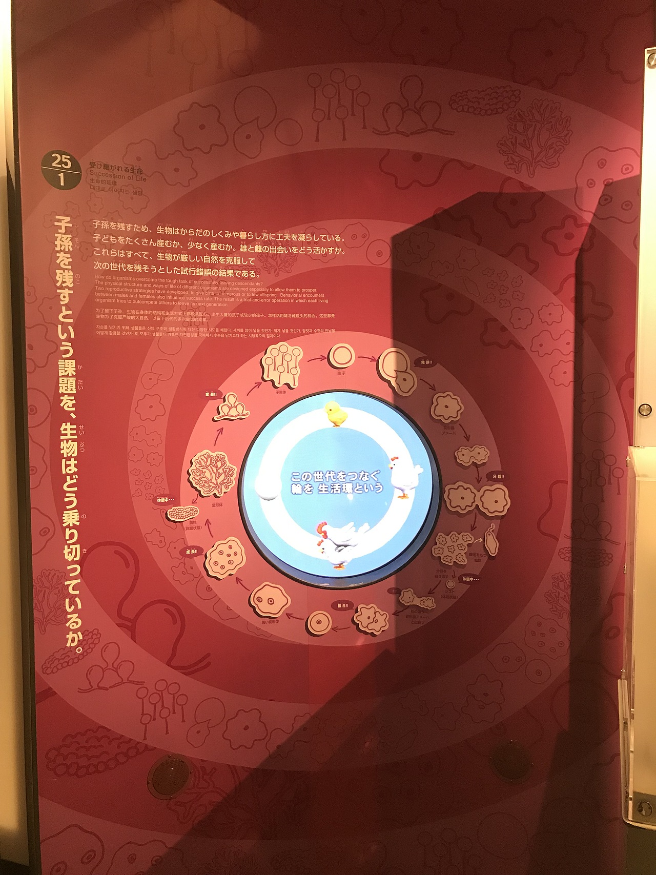 东京国立科学博物馆（图ZMzA5OTUwODQw） - 展陈设计 - 站酷设计师JIANG2015原创素材 - 站酷ZCOOL