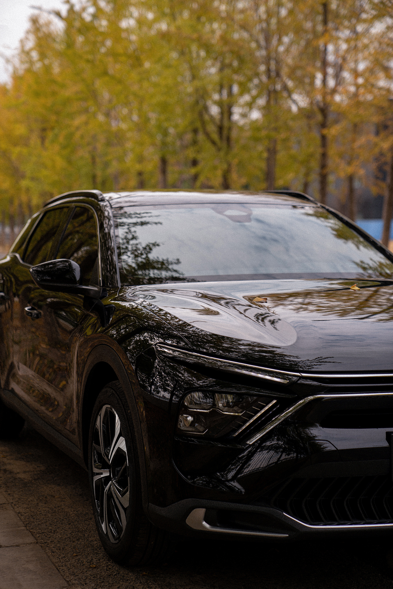 网红银杏道·遇见凡尔赛（图ZMzIyNjU2Nzc2） - 人像摄影 - 站酷设计师布鲁斯Y原创素材 - 站酷ZCOOL