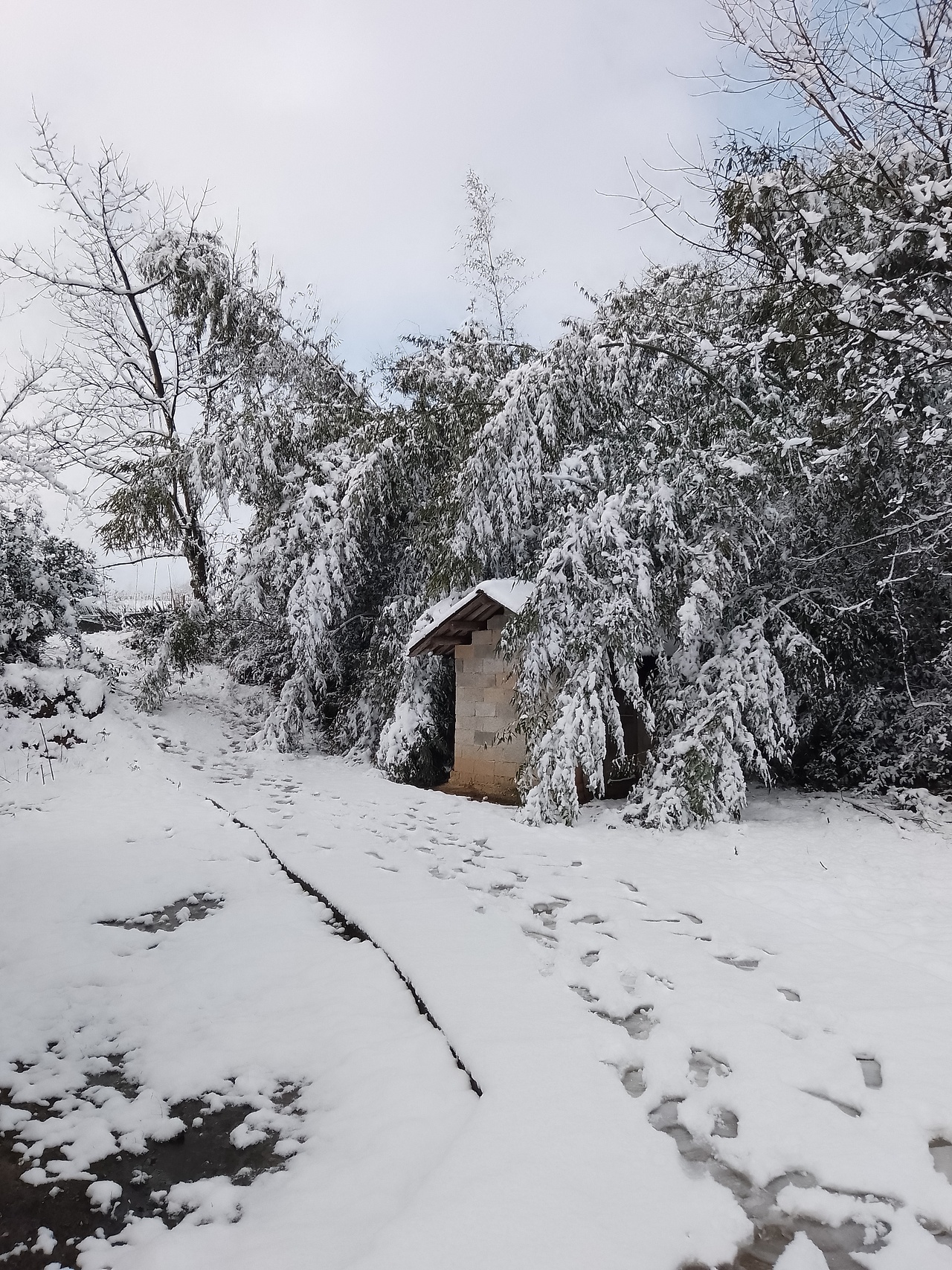 家乡的雪-湖南湘西（图ZMzU1MzY2NjQ4） - 风光摄影 - 站酷设计师寻找彩虹海原创素材 - 站酷ZCOOL