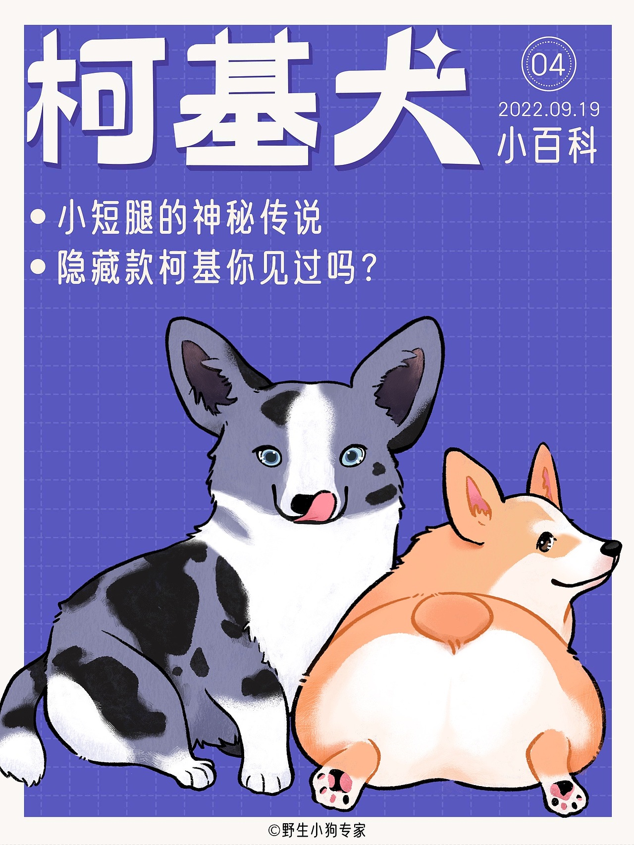柯基犬小百科：女王与小短腿的故事（图ZMzE3MDc1MDMy） - 短篇/格漫 - 站酷设计师北北北辰beichen原创素材 - 站酷ZCOOL