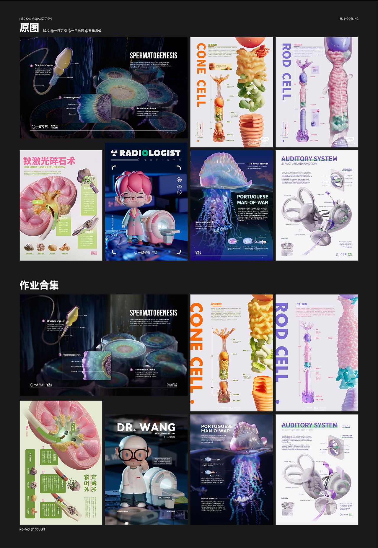 2023医学可视化作品合集（图ZMzU5NTM2Mzky） - 创作习作 - 站酷设计师不当咸鱼的咸鱼原创素材 - 站酷ZCOOL