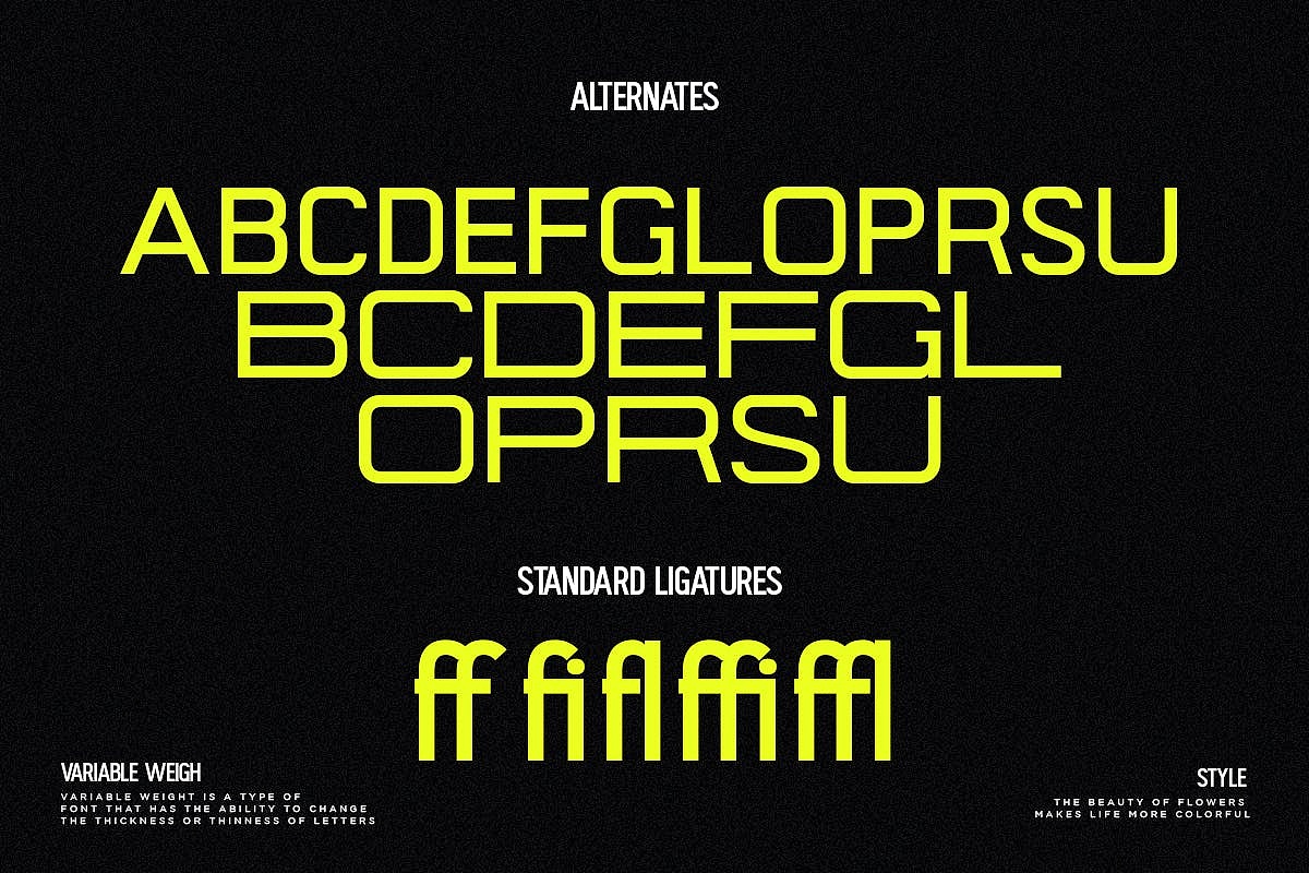 现代潮流拉伸时尚广告海报画册封面标题无衬线英文字体