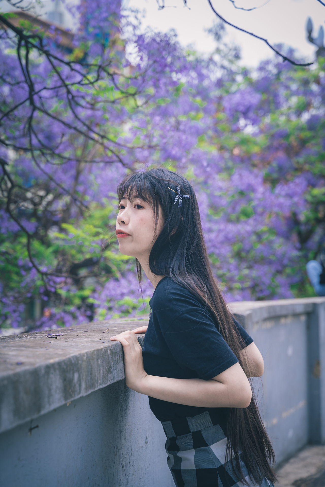 昆明春城路,蓝花楹美女