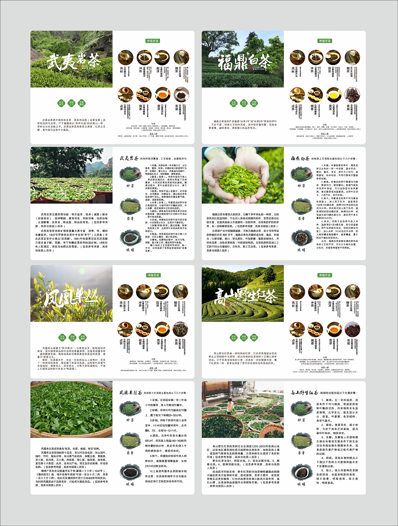 茶叶说明书折页