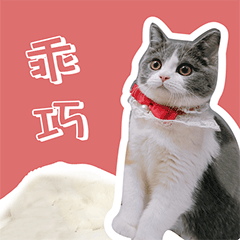 叮当的单身生活（图ZMzEyODE1MTY4） - 网络表情 - 站酷设计师runningPP原创素材 - 站酷ZCOOL