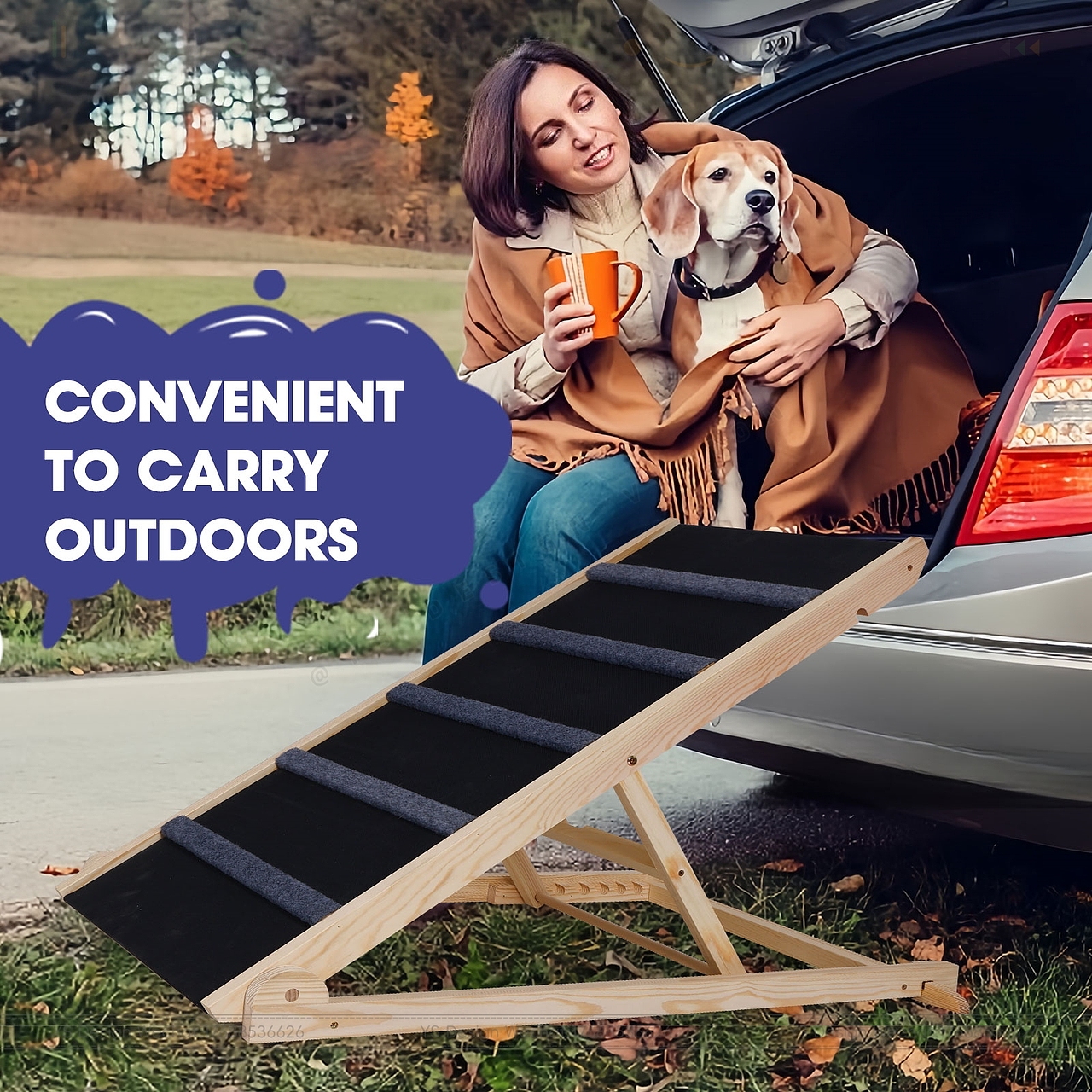 亚马逊宠物梯主副图A+图片设计