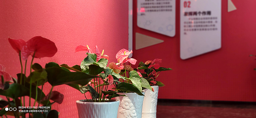 健缘集团党建展厅设计施工一体化