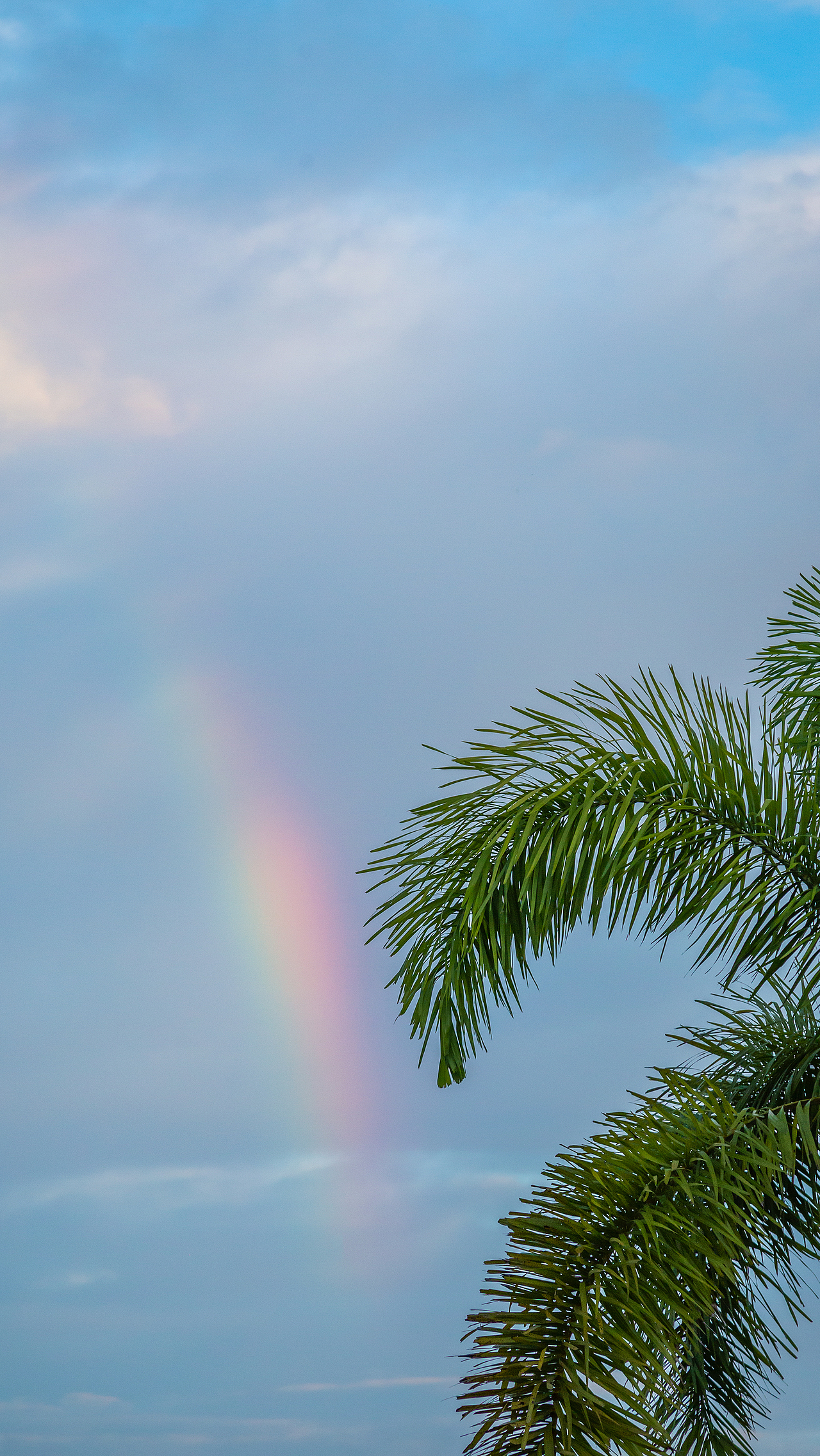 关于夏天（图ZMzE0NDk3Mjky） - 风光摄影 - 站酷设计师是发条陈呀原创素材 - 站酷ZCOOL