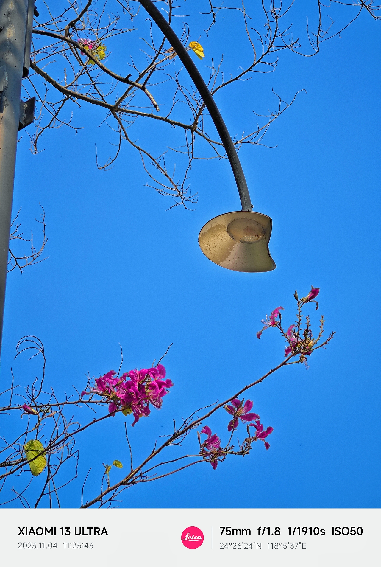 厦门之旅（图ZMzU1MDM0NDAw） - 风光摄影 - 站酷设计师TUBI颗粒子原创素材 - 站酷ZCOOL