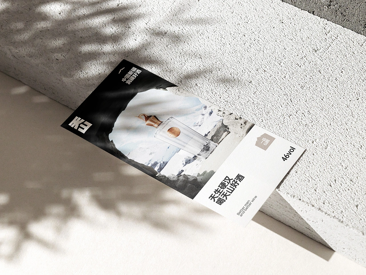 天山白酒品牌视觉全案