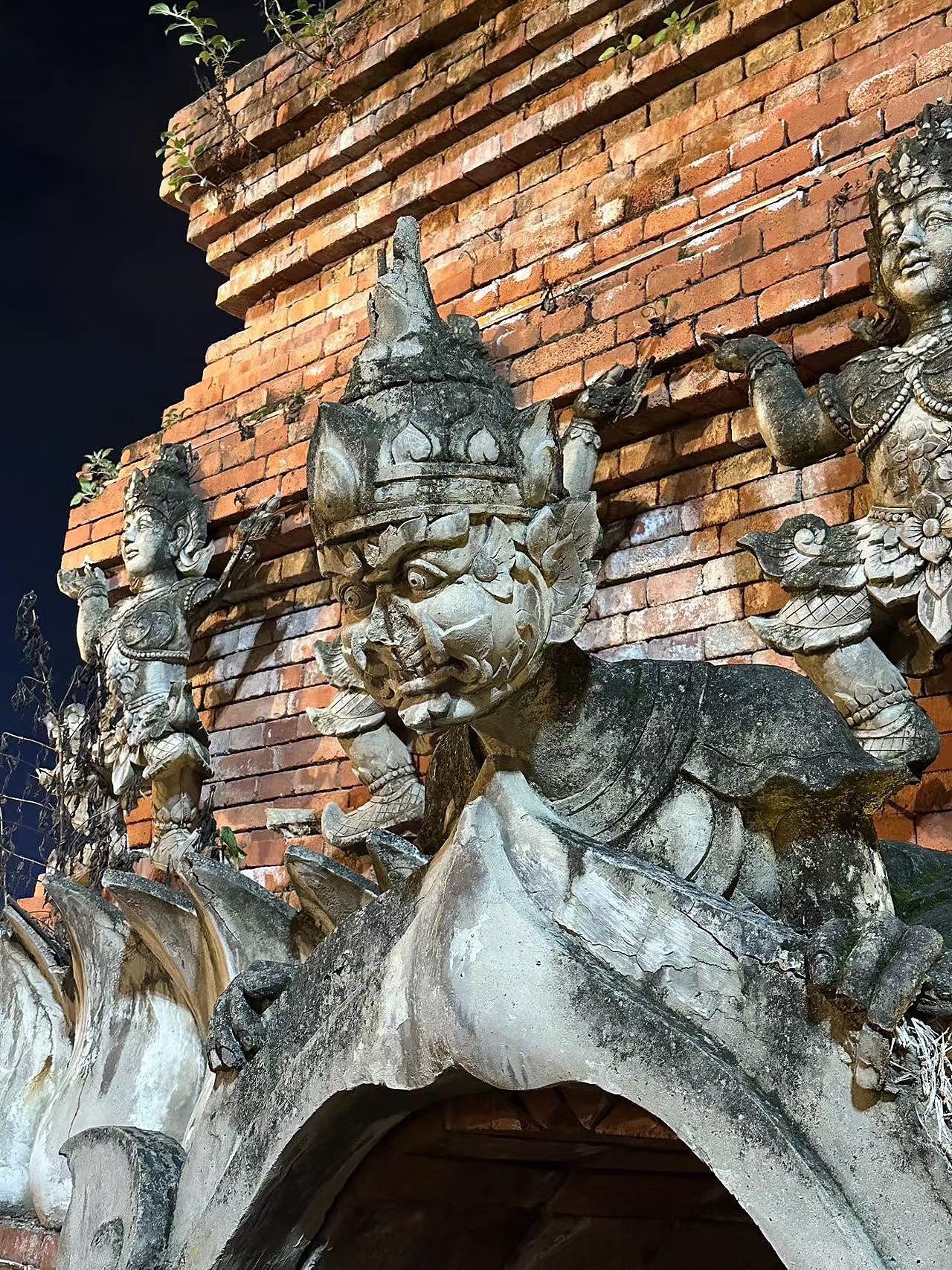 今年旅行拍的照片