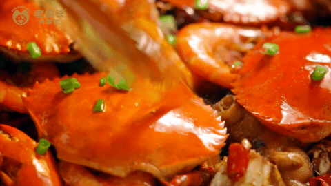 2023上半年视频合集 | 美食摄影 X 口水视觉(图ZMzUxNjk5MTcy) - 美食摄影 - 站酷设计师口水视觉原创素材 - 站酷ZCOOL