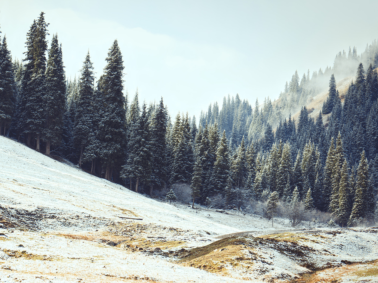 男装拍摄 | 在路上