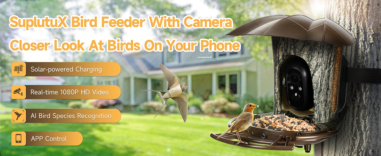 亚马逊跨境喂鸟器A+页面电商设计（图ZMzYwMjU3NTYw） - 电商 - 站酷设计师喵倪大爷原创素材 - 站酷ZCOOL