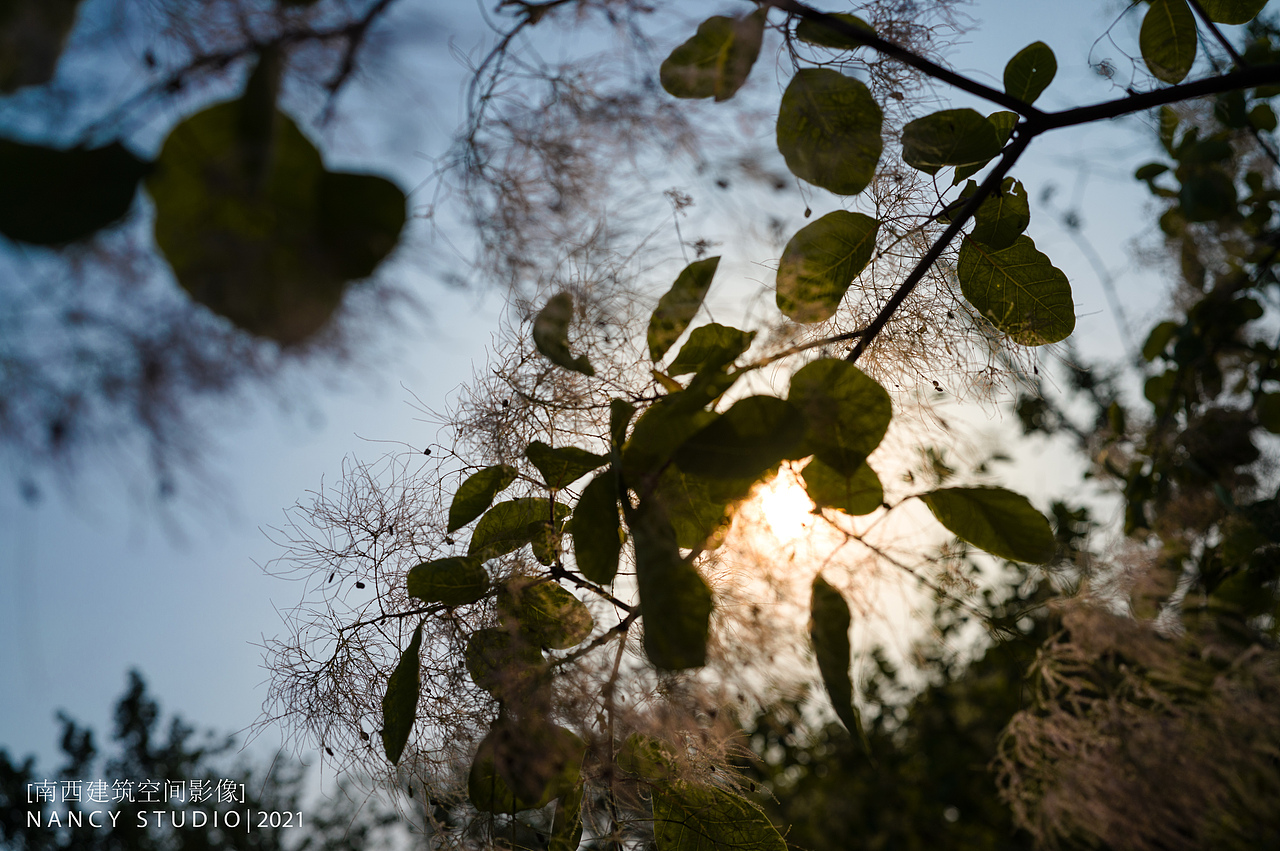 景观摄影 | 北京绿心郊野公园（图ZMjk4ODg2NDE2） - 环境/建筑摄影 - 站酷设计师熹姐说原创素材 - 站酷ZCOOL