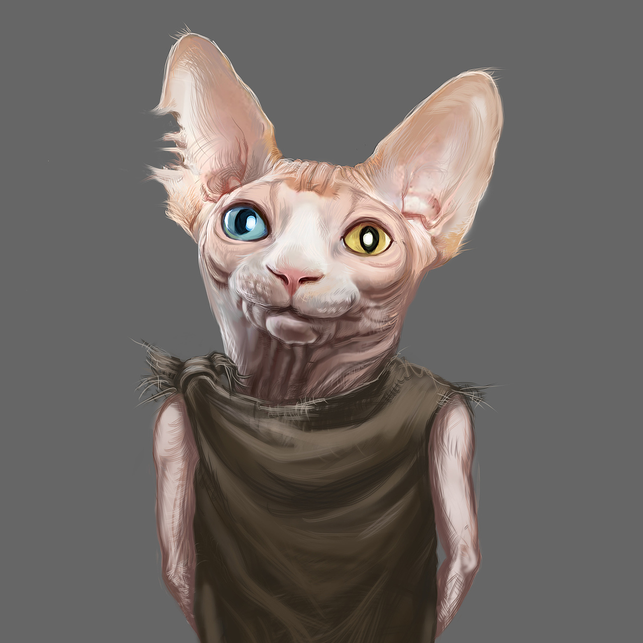 原始寵愛 X 哈迷瘋子 狗糧貓糧（圖ZMzM1NzQ4NDYw） - 包裝 - 站酷設計師上智誠品牌原創(chuàng)素材 - 站酷ZCOOL