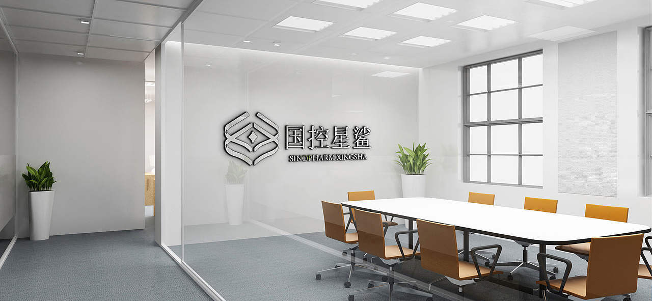 国控星鲨logo设计