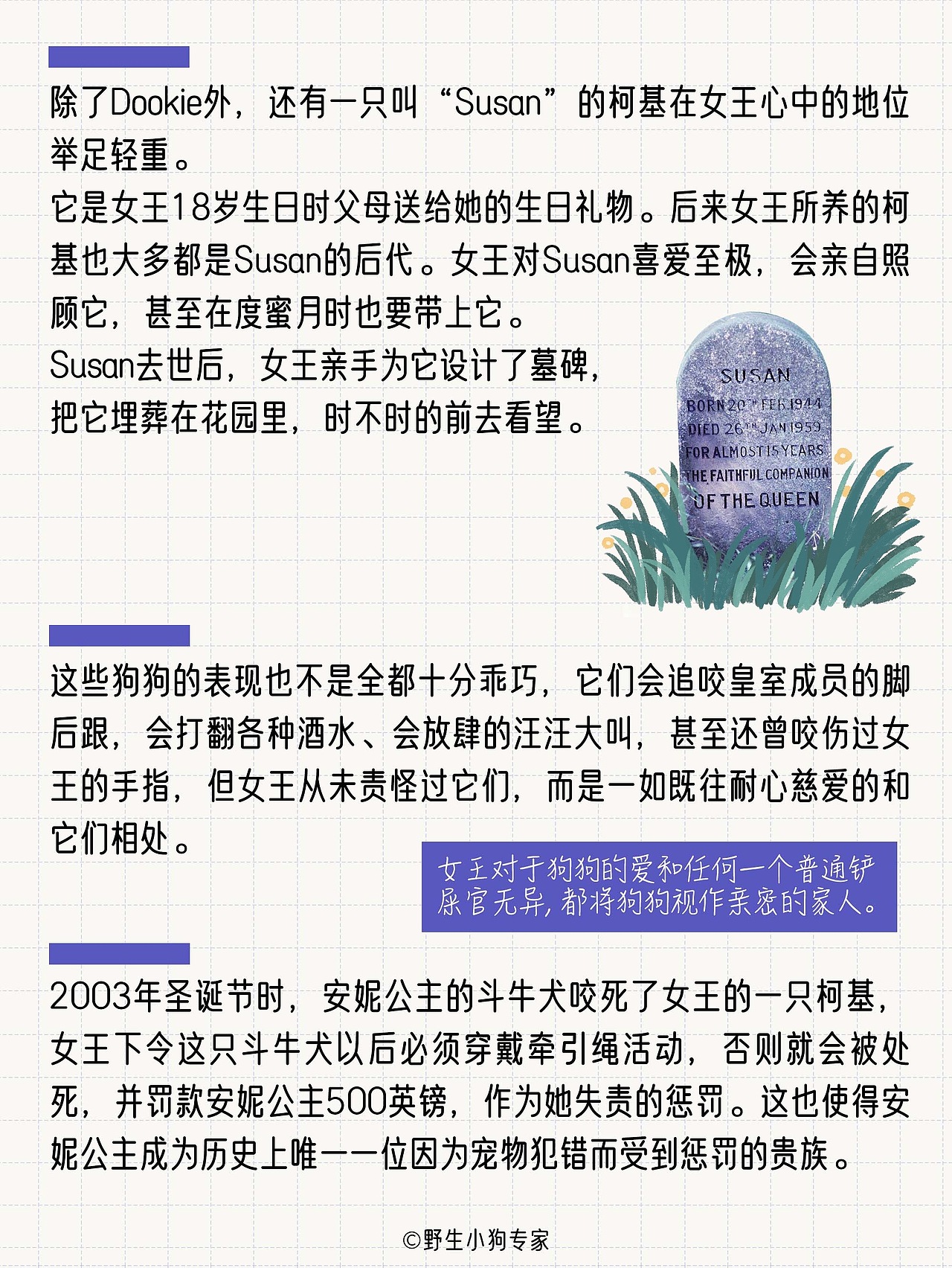 柯基犬小百科：女王与小短腿的故事（图ZMzE3MDc1MDM2） - 短篇/格漫 - 站酷设计师北北北辰beichen原创素材 - 站酷ZCOOL