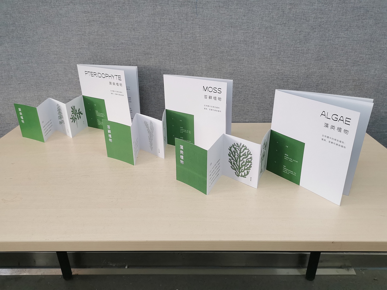 关于藻类、苔藓、蕨类植物的书籍设计丨Book Design（图ZMzIxNjAwNjA0） - 书籍/画册 - 站酷设计师我在月球修马路原创素材 - 站酷ZCOOL