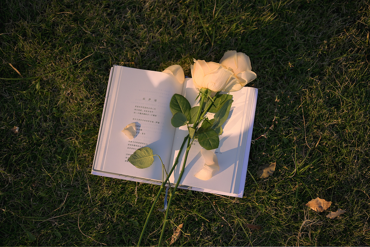 你什么也没有说，山风惊扰我（图ZMzIyNTc2MDY4） - 人像摄影 - 站酷设计师尤里西西原创素材 - 站酷ZCOOL