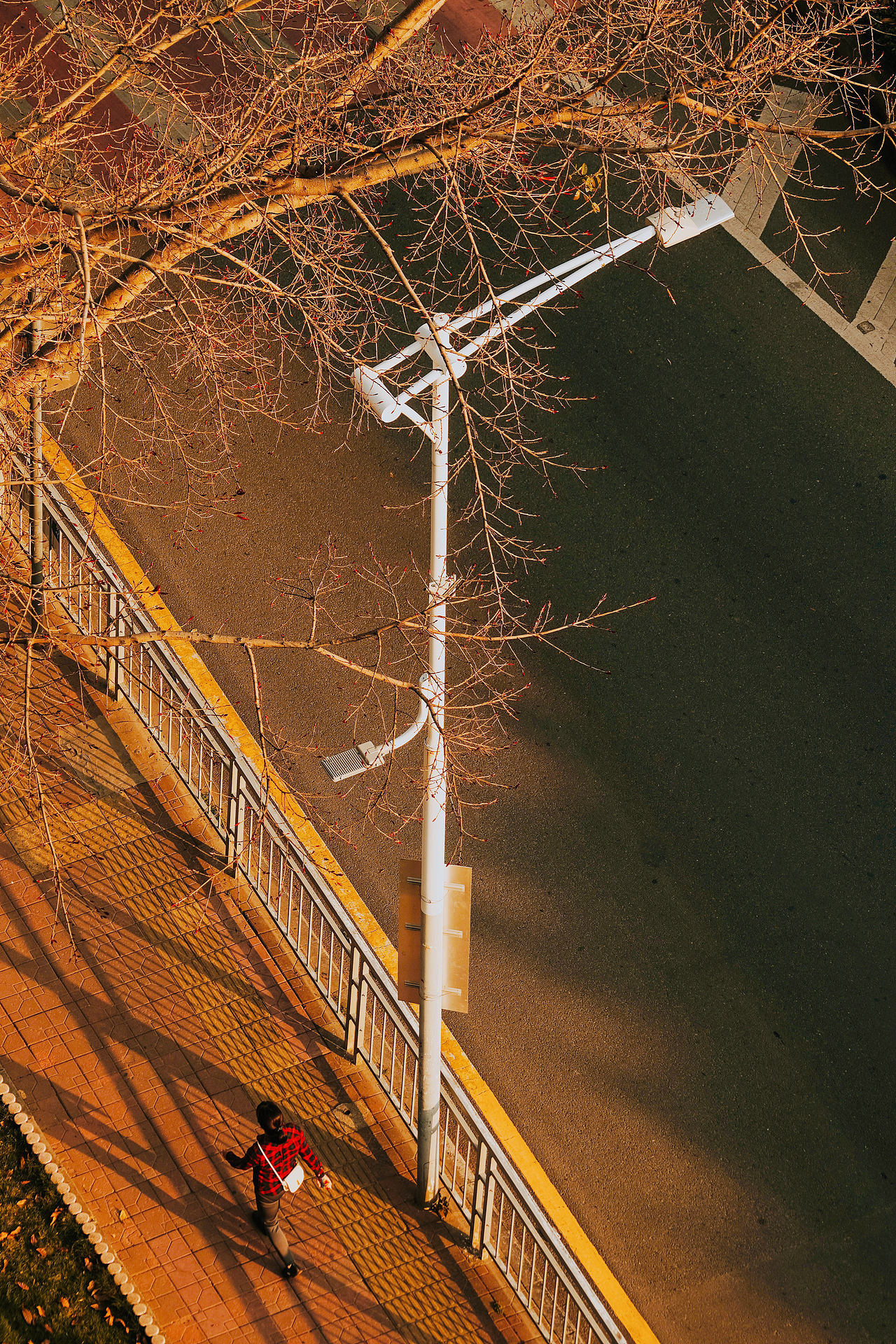 重庆旅拍纪实,每个人心中都有一束光