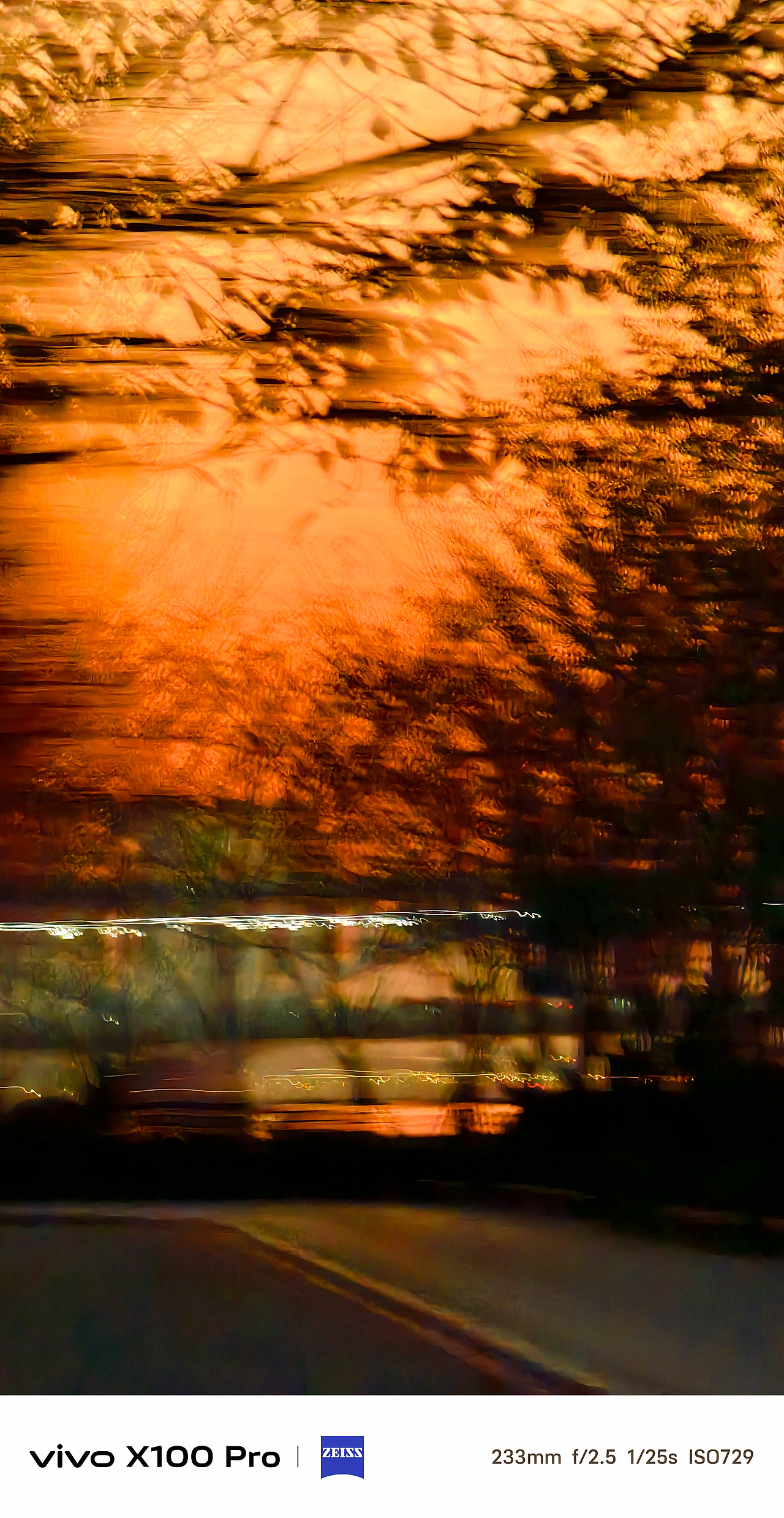 VIVOX100Pro悬日样片合作拍摄