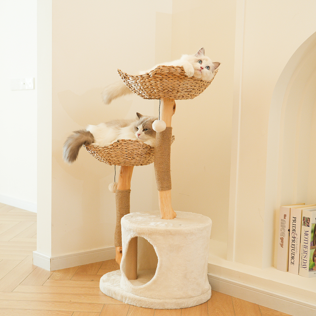 猫爬架拍摄宠物广告拍摄摄影静物广告亚马逊主图设计视